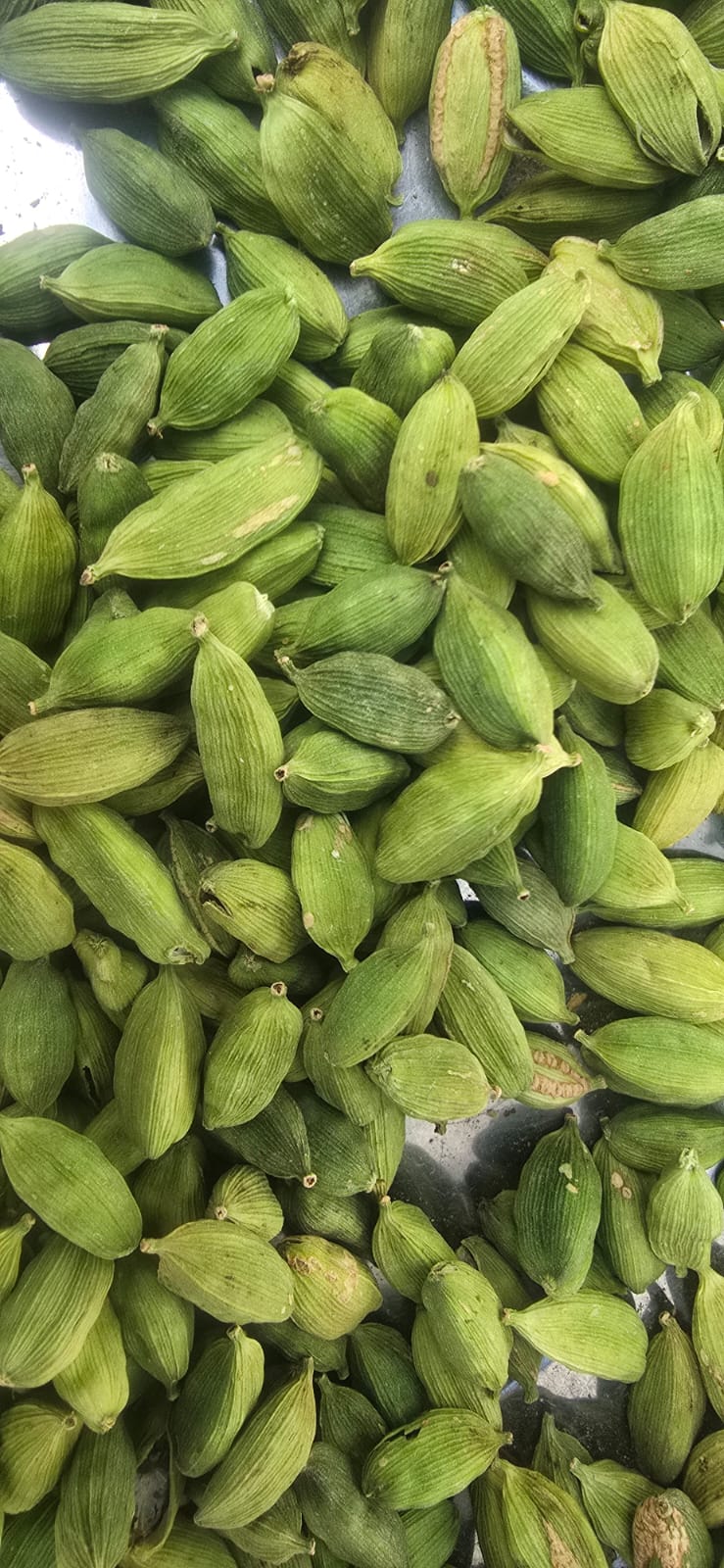 Malbreze Green Cardamom -100 Gms